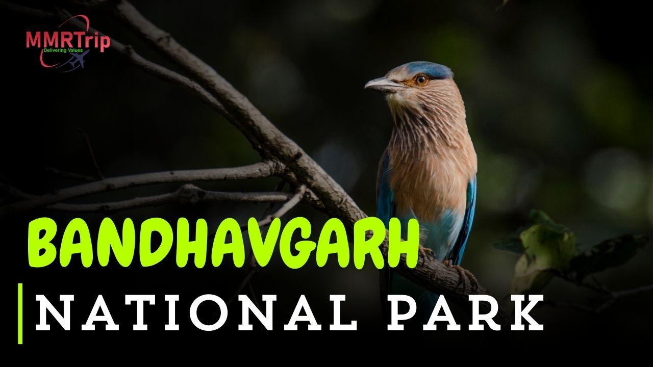 How to Reach Bandhavgarh National Park