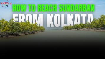 How to Reach Sundarban From Kolkata 