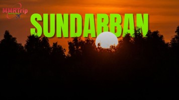 How To Reach Sundarban 